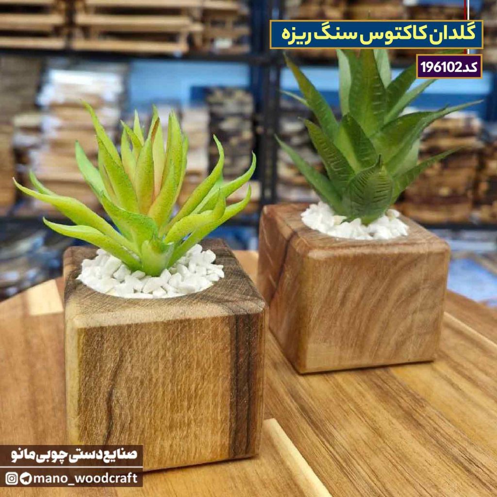 گلدان کاکتوس سنگ ریزه