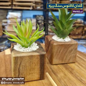 گلدان کاکتوس سنگ ریزه