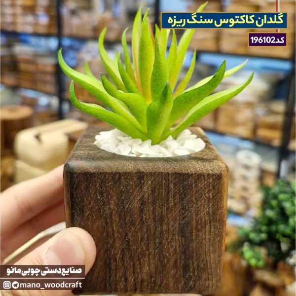گلدان کاکتوس سنگ ریزه
