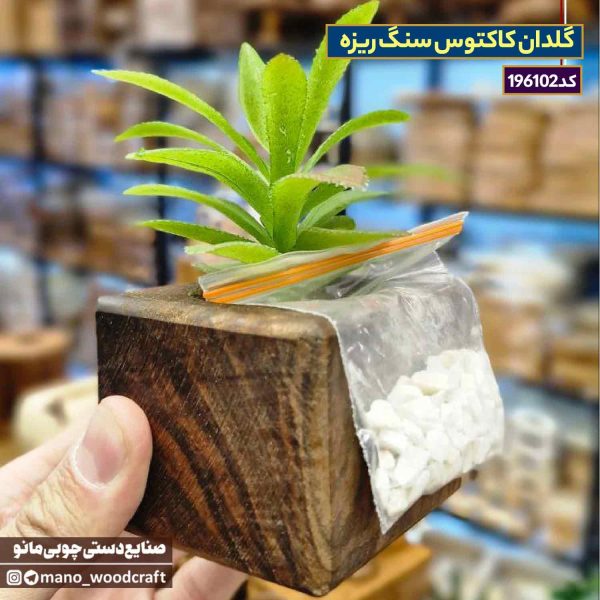گلدان کاکتوس سنگ ریزه