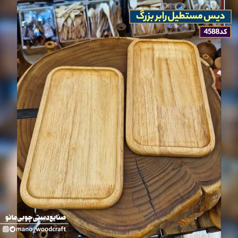 دیس مستطیل رابر