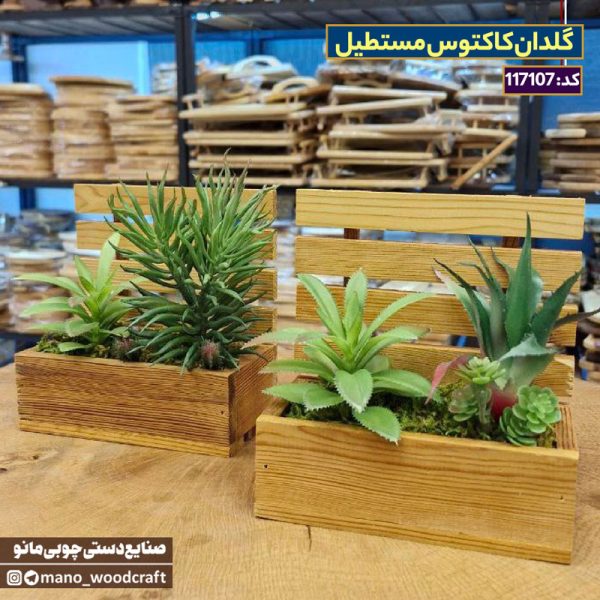 گلدان کاکتوس مستطیل