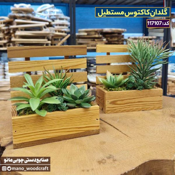 گلدان کاکتوس مستطیل