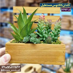 گلدان کاکتوس مستطیل