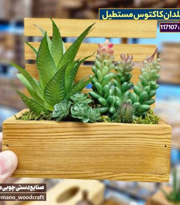 گلدان کاکتوس مستطیل