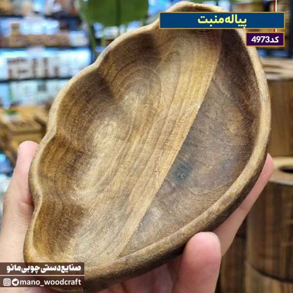 پیاله منبت